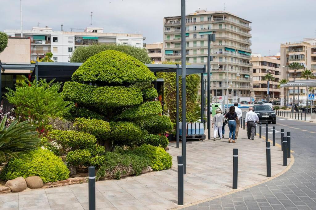 Acogedor Alojamiento A Pocos Metros De La Playa Santa Pola Bagian luar foto